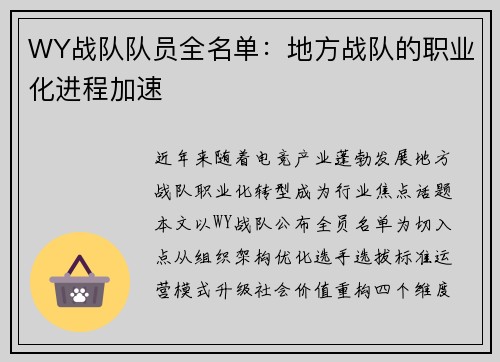 WY战队队员全名单：地方战队的职业化进程加速