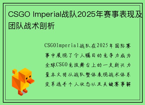 CSGO Imperial战队2025年赛事表现及团队战术剖析